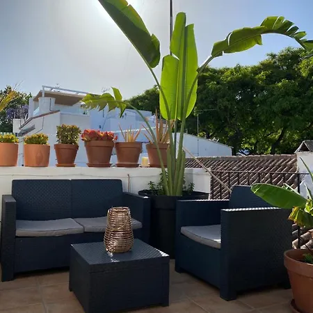 Big Terrace Penthouse In Old Town Marbella